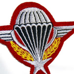 Patch militaire parachutiste